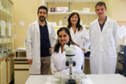 Equip d'investigadors de la UIB: Miguel ngel Miranda, Sofa Delgado, Claudia Paredes i Jos Antonio Jurado - Foto: A.Costa/UIB