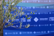 Plantada d'arbre  - Foto: A.Costa/UIB