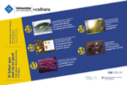 DEF-407464-S.SAC-ElSaber-Carrusel-Agenda.png