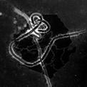 595194_ebola.jpg