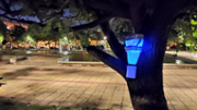 Les trampes s'installaran a tres parcs de Palma. Foto: ZAP/UIB