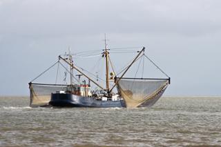 fishermen.jpg