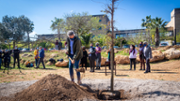 Sembrada simblica de dotze arbres al campus - Foto: A.Costa/UIB