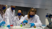 Activitat: Extracci d'ADN - Foto: A.Costa/UIB