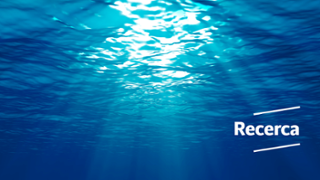 Baner_16.9_Diari_UIB_Oceans.jpg