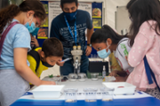 Taller d'identificaci d'insectes -  Foto: A.COSTA/UIB