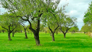 Baner-16.9_Jornades-de-transferencia_INAGEA2.jpg