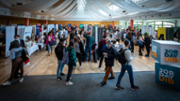 Job Day UIB torna a la Universitat de les Illes Balears  - Foto: A:COSTA/UIB