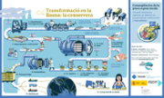 Infografa: Flavia Gargiulo/Planet Tuna