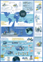 Infografa: Flavia Gargiulo/Planet Tuna