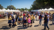 Cincia per a Tothom al campus de la Universitat de les Illes Balears - Foto: A.COSTA/UIB