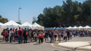Cincia per a Tothom al campus de la Universitat de les Illes Balears - Foto: A.COSTA/UIB