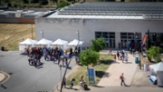 Cincia per a Tothom al campus de la Universitat de les Illes Balears - Foto: A.COSTA/UIB
