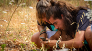 Safari de biodiversitat al campus de la UIB - Foto: A.Costa/UIB