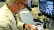 El doctor Flix Grases, director del BICUIB i del Laboratori d'Investigaci en Litiasi Renal de la UIB - FOTO: A.Costa/UIB