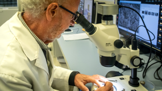 El doctor Flix Grases, director del BICUIB i del Laboratori d'Investigaci en Litiasi Renal de la UIB - FOTO: A.Costa/UIB