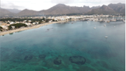 Estructuras espaciales complejas de Posidonia en la baha de Pollena (Mallorca).