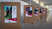 Exposicions: Ala la veu per una vida lliure de violncia a Bolvia - Foto: A.COSTA/UIB