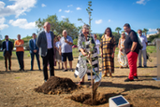 La UIB planta un roure en memria d'Agust Villaronga - Foto: A.COSTA/UIB