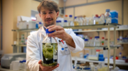 Joseph Christie-Oleza, investigador del Departamento de Biologa de la UIB - Foto: A.COSTA/UIB