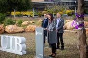Homenatge a les dones vctimes de violncies masclistes - Foto: A.COSTA/UIB