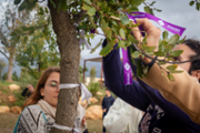 Homenatge a les dones vctimes de violncies masclistes - Foto: A.COSTA/UIB