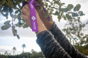 Homenatge a les dones vctimes de violncies masclistes - Foto: A.COSTA/UIB