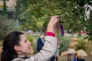 Homenatge a les dones vctimes de violncies masclistes - Foto: A.COSTA/UIB