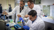 Investigadors dels grups PLANTMED i FI-TRACE de la UIB - FOTO: A.Costa/UIB