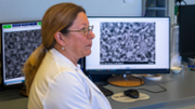La doctora Antnia Costa, investigadora del Laboratori d'Investigaci en Litiasi Renal de la UIB - Foto: A.COSTA/UIB
