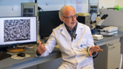 El doctor Flix Grases, investigador del Laboratori d'Investigaci en Litiasi Renal de la UIB - Foto: A.COSTA/UIB