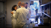Investigadors del grup de recerca en Neurobiologia Cellular de la UIB - Foto: A.COSTA/UIB