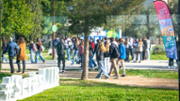 Jornades de portes obertes al campus universitari - Foto: A.COSTA/UIB
