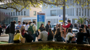 Jornades de portes obertes al campus universitari - Foto: A.COSTA/UIB