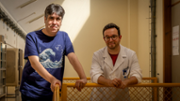 Bartolome Soberats y Daniel Martnez: investigadores del grupo de Qumica Supramolecular de la UIB - Foto: A.COSTA/UIB