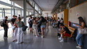 Les PBAU de juny de 2024 al campus de la UIB - Foto: A.Costa/UIB