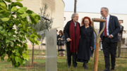 Jardins de Son Lled: plantada d'un taronger | Foto: A.Costa/UIB
