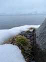 IMG_3670.jpeg