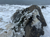 IMG_3607.jpeg