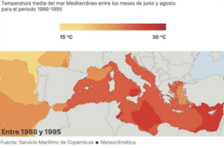 Captura-de-pantalla-2025-09-16-a-les-11.44.24.png
